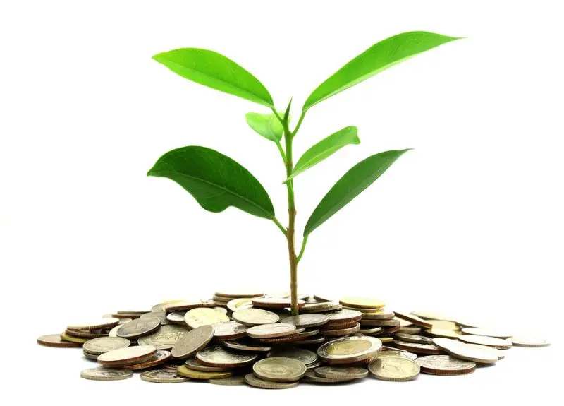 Инвестиции SKF в сохранение экологии | Свежие новости в Томске